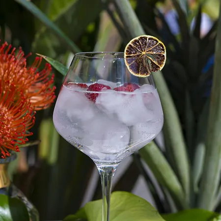 فندق The College Amsterdam, Autograph Collection 5*